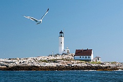 White Island NH LH21049